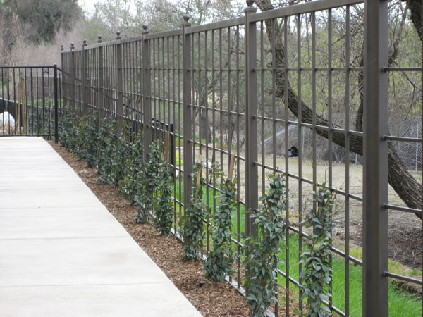 Wrought Iron Fence Carlsbad, CA