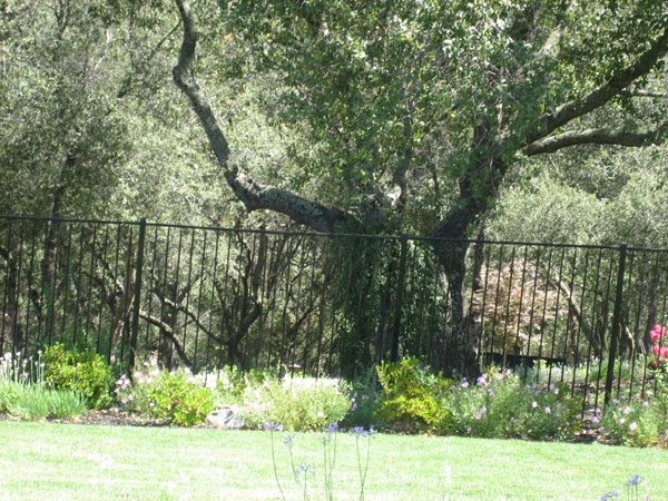 Wrought Iron Fence Carlsbad, CA